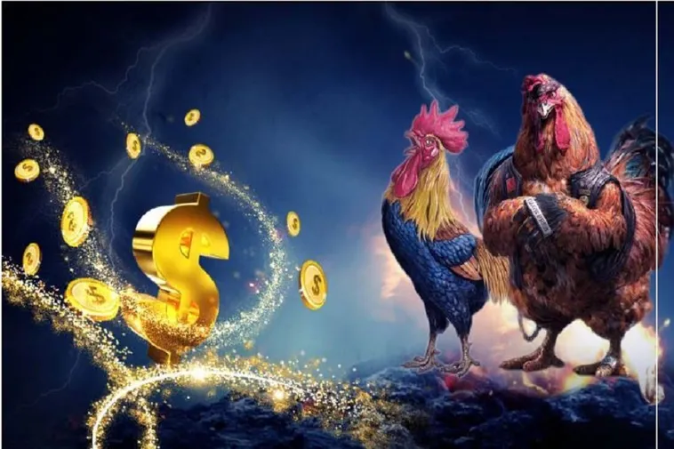 Cách Chơi Đá Gà GA28 Tại S666 Để Tận Hưởng Trận Đấu Kịch Tính 2 Cách Chơi Đá Gà GA28 Tại S666 Để Tận Hưởng Trận Đấu Kịch Tính